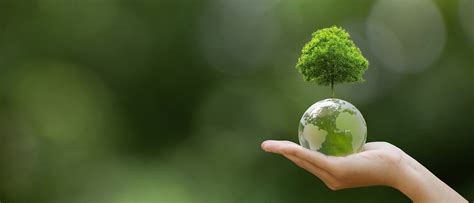 Corporate-CSR – Bajaj Electricals India