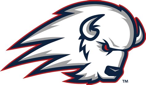 Image result for DSU HTML