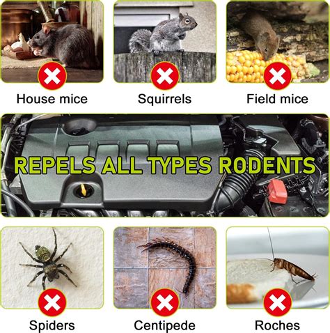 Dark Master 12 Packs Mouse Repellent Pouches, Peppermint 0il to India ...