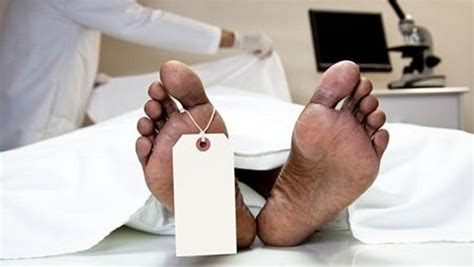 Palghar Tragedy: Teen Dies Of Electrocution At Vasai Fair; Operator ...