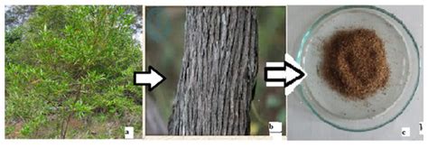 Efficient Removal of Methyl Red Dye by Using Bark of Hopbush