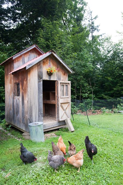 12 Chicken Coop Ideas for Your Backyard Hens