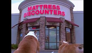 Image result for Mattress Discounters
