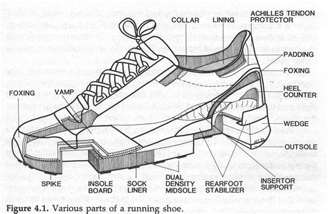 Shoe Lace Anatomy at Mary Duckworth blog