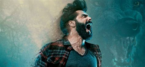 3 Real Life Issues Tackled By Varun Dhawan’s ‘Bhediya’ Instead Of Just ...