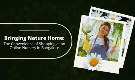Bringing Nature Home: The Convenience of Shopping at an Online Nursery ...