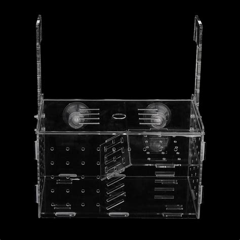 Enakshi 2 in 1 Acrylic Aquarium Tortoise Turtle Seedling Isolation ...