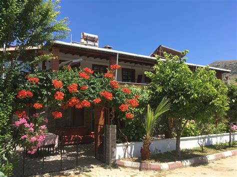 MELANUR PANSIYON (Gokceada) - Pension Reviews & Photos - Tripadvisor