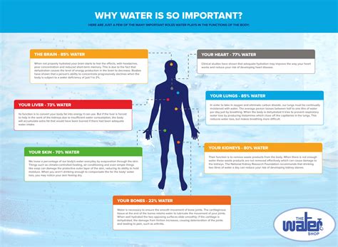 why-is-water-important - The Water Shop - Water Filter Systems, Whole House Filtration, Reverse ...