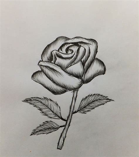 easy drawing ideas rose