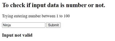 Image result for JavaScript Validation Output