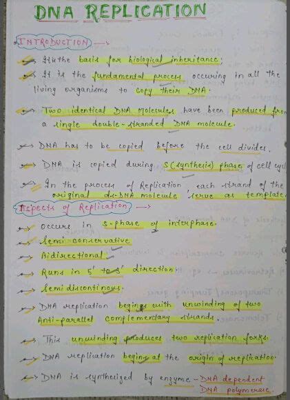 Image result for DNA Replication Class 12