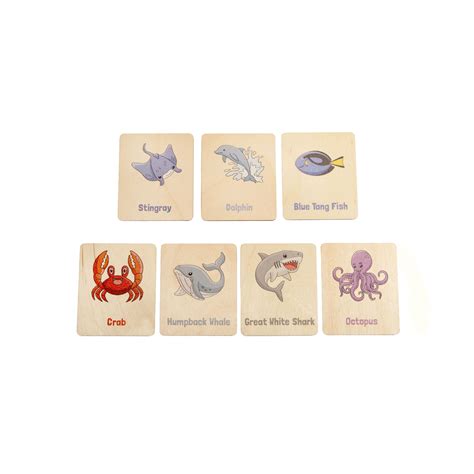 Terrifying Sea Creatures Flash Cards 的图像结果