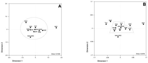 Genetic Distribution of Five Spinocerebellar Ataxia Microsatellite Loci ...