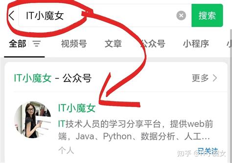Python Debutant 的图像结果