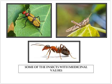 Ariviyal Publishing Green Reports