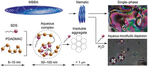 Tuning Molecular Orientation Responses of Microfluidic Liquid Crystal ...