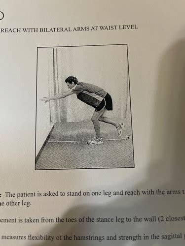 How to Muscle Test Lumbar Extensor Muscles 的图像结果