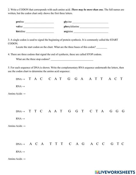 Protein Synthesis Worksheet 的图像结果