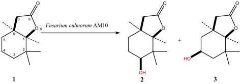 Microbial Asymmetric Functionalization of β-Cyclocitral-Derived ...