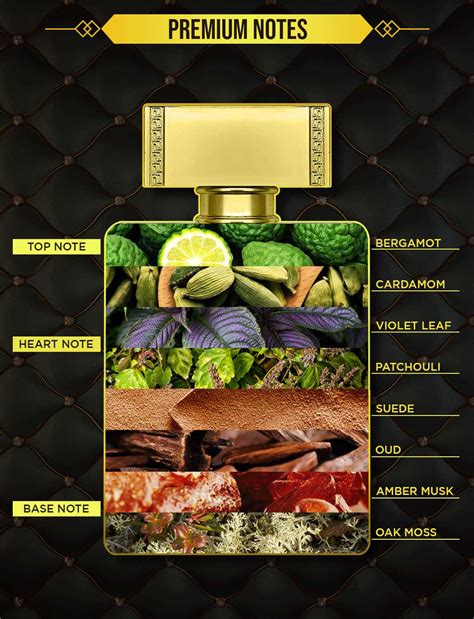 Buy LA FRENCH ADVENTURE OUD EAU DE PERFUME 100ML Online & Get Upto 60% ...