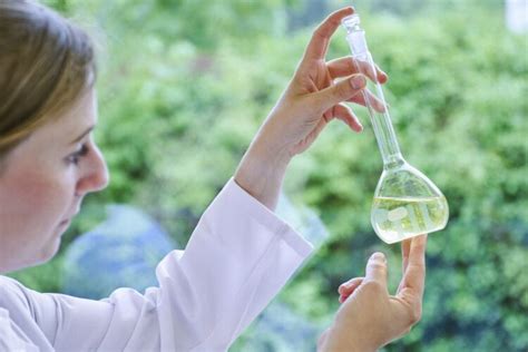 CSM ramps up fats & oils innovation with microorganisms and plants