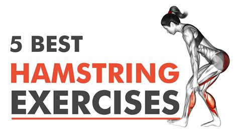 Image result for Multifidus Exercises