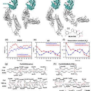 Image result for Simulation Interaction Diagram Molecular Dynamics