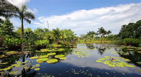 Events calendar for Collier County 100 website | Collier Centennial