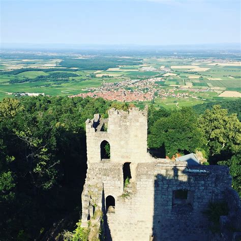 THE 10 BEST Places to Visit in Dambach-la-Ville (2026)