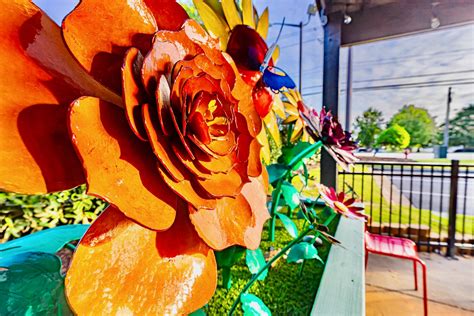 Mellow Mushroom | Best Pizza in Evans, GA | Mellow Mushroom