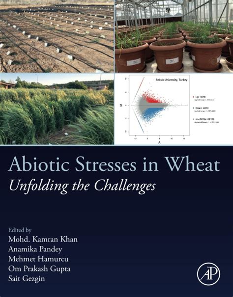 Buy Abiotic Stresses in Wheat: Unfolding the Challenges Book Online at ...