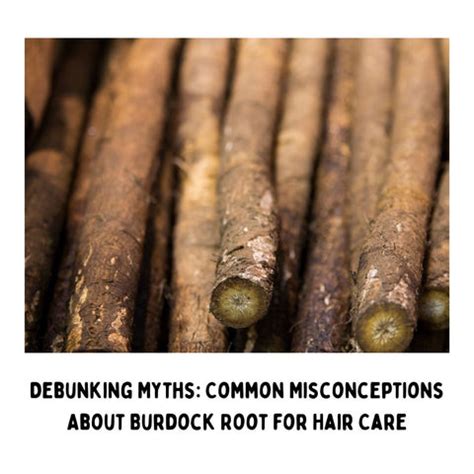 The Hair Care Benefits of Burdock Root | Clinikally