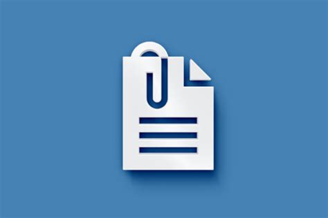 Image result for Understanding the Appendix