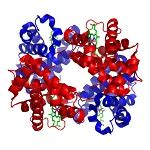 Introduction to Biochemistry