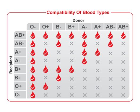 Rarest Blood Type Chart
