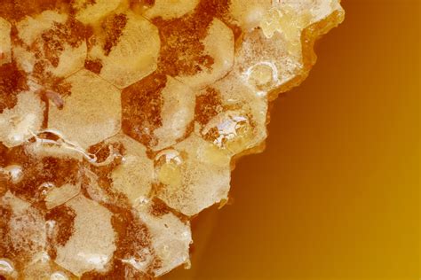 Raw Honey for Immunity: Health Benefits – Rosier Foods