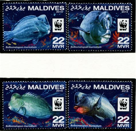 MALDIVES – 2016 WWF ‘GREEN HUMPHEAD PARROTFISH’ Set of 4 MNH [C4722 ...