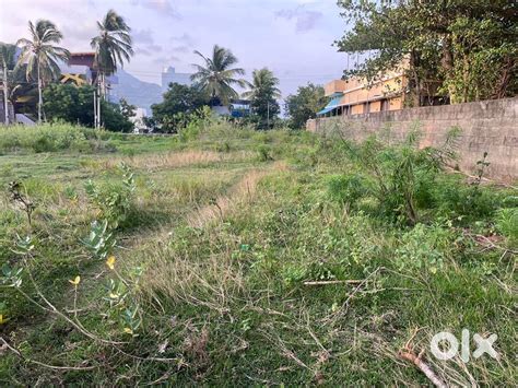 Negotiable - Lands & Plots - 1821970966