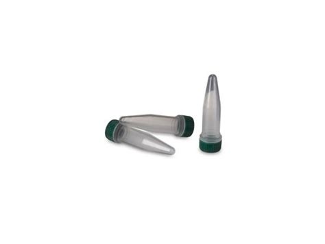 T4 DNA Ligase solution, from Escherichia coli(NM 989), suitable for ...