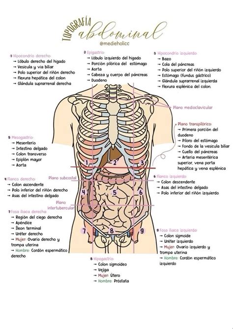 Image result for Alien Syndrome JPEG