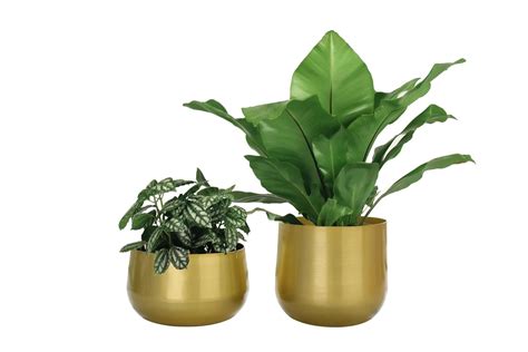 Vixdonos Gold Metal Flower Pots Brass-Toned Garden Planters, 7.1/6.3 ...