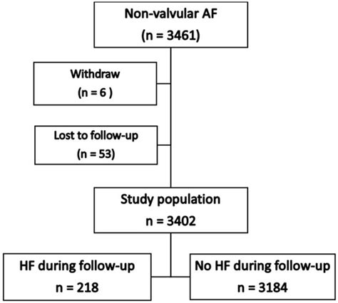 Predicting Heart Failure in Patients with Atrial Fibrillation: A Report ...