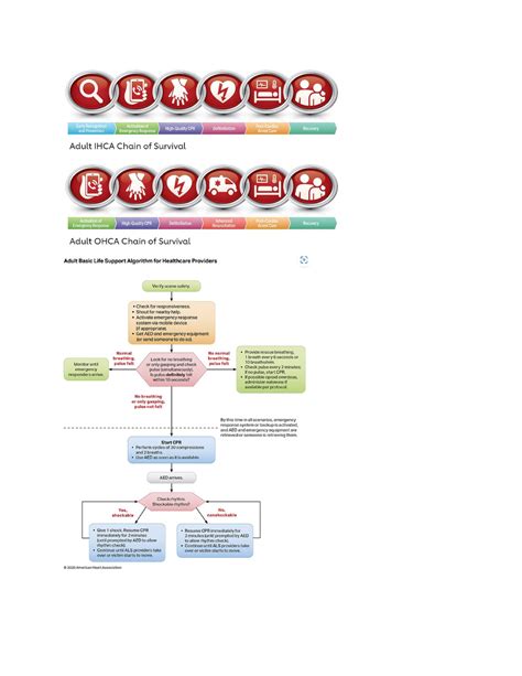 Image result for ACLS Code Algorithm