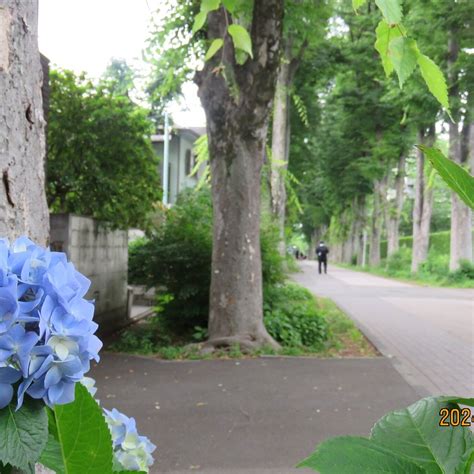 SEIKEI UNIVERSITY - All You SHOULD Know Before Going 2026 (with Photos ...