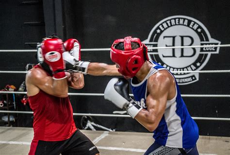 Pro Boxing Sparring 的图像结果