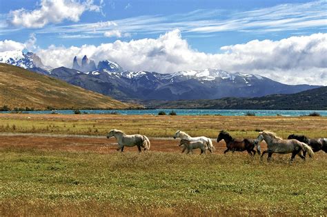 Safest South American Countries in 2025? Here’s the Data