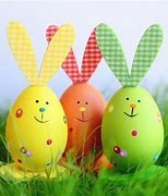 Image result for Real Easter Bunny with Eggs