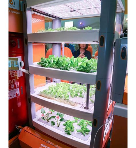 Image result for Opcom Farm