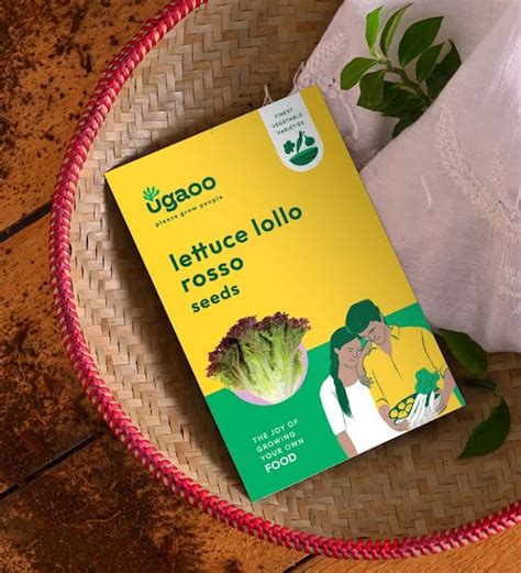 Lettuce Lollo Rosso Seeds – Ugaoo
